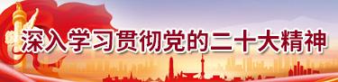 學(xué)習(xí)貫徹二十大精神