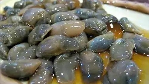 尋味前灣——醉泥螺